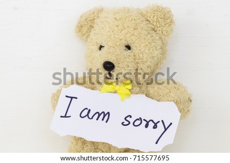 i am sorry teddy bear