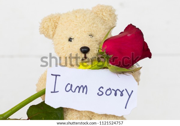 i am sorry teddy