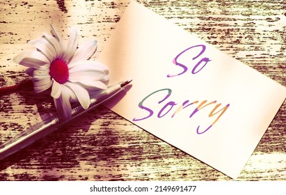 So Sorry Text.  Note And Summer Flower On Wooden Table.  Love Concept, Light And Shadow. Single Purple Chamomile . Vintage Effect