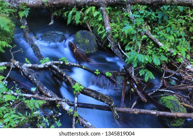 Sorsogon Stream Philippines