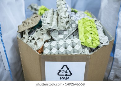 Sorting Recyclables. The Sorted Papier Mache - Paper Pulp Egg Trays, Chewed Paper, Is Placed In A Container With The Appropriate Marking.