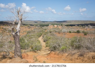 SOSONI, KENYA - SEPTEMBER 28, 2021: The Village Of Sosoni Was Connected To The East African Slave Trade Up Until The 20th Century. Slaves Who Died Before Being Shipped Abroad Are Buried In Sosoni.