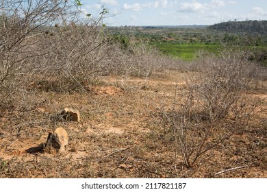 SOSONI, KENYA - SEPTEMBER 28, 2021: Gravestones In Sosoni, A Kenyan Village That Was Connected To The East African Slave Trade Up Until The 20th Century. 