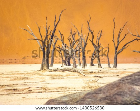 Similar – arid expanse Landscape