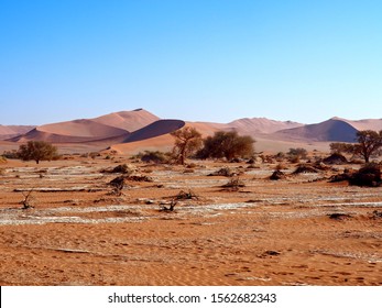 Sossusvlei, Namibia Red Dunes Surrounding