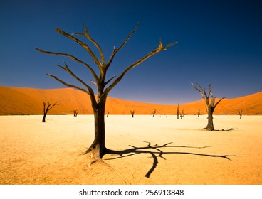 deadvlei namibia africa deadvlei namibia africa