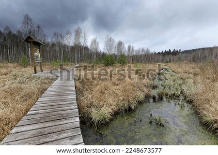 Soumarske raseliniste (moor or peat bog), Sumava national park (Bohemian forest) in Czech Republic. Wooden walkway 