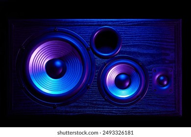 Sound speaker in neon light. Modern hi-fi loudspeaker against black background. Sound audio speaker with neon lights. Dynamic sub monitor close up. Creative backgroound