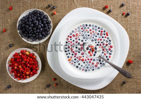 Similar – Berry and Chia Pudding