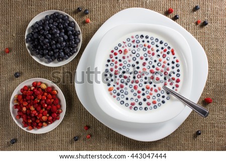 Similar – Berry and Chia Pudding