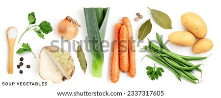 Soup vegetables set. Onion, potato, leek, carrot, celery, bean, salt, bay leaf and pepper isolated on white background. Healthy eating food concept. Creative layout. Flat lay, top view
