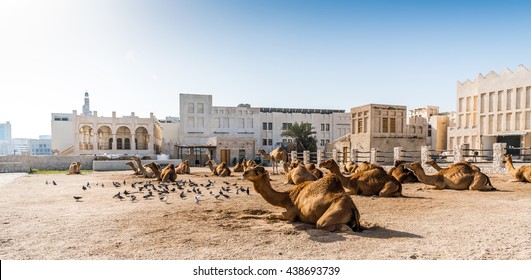 Souq Waqif Camel Market