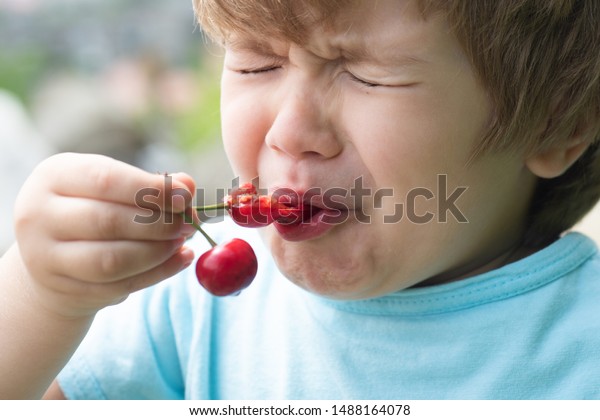  Sour taste. A child tastes a cherry. Ripe
harvest. Vitamins. Sour cherry