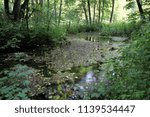 source of alms