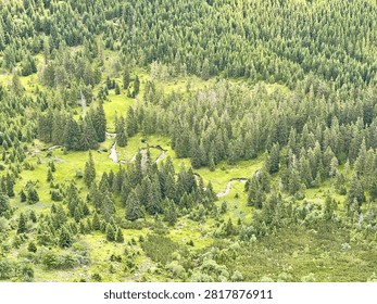 Source area and beginning stream of the Elbe river flowing through Labský důl in Krkonoše mountains.
