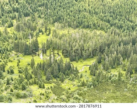 Source area and beginning stream of the Elbe river flowing through Labský důl in Krkonoše mountains.