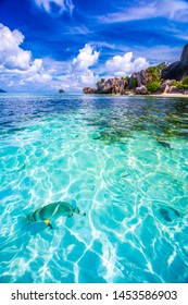 Source d'Argent, the famous beach of La Digue Island with a fish in the foreground, Seychelles