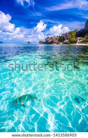Source d'Argent, the famous beach of La Digue Island with a fish in the foreground, Seychelles