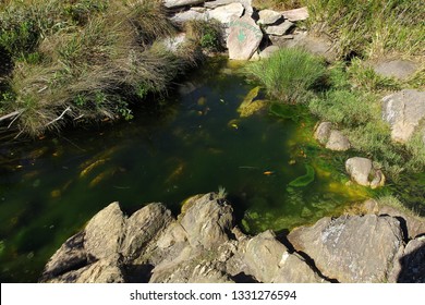 Source Of The São Francisco River, Municipality Of São Roque De Minas, Minas Gerais, Brazil.