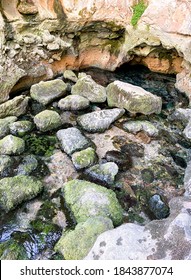 source of the river between rocks