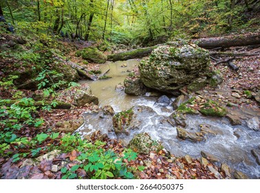 the source of the river, a walk along the riverbed with an overview of the canyon of the river and the shallow riverbed