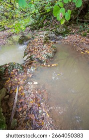 the source of the river, a walk along the riverbed with an overview of the canyon of the river and the shallow riverbed
