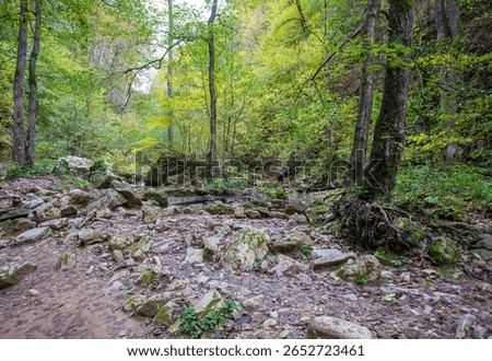 the source of the river, a walk along the riverbed with an overview of the canyon of the river and the shallow riverbed