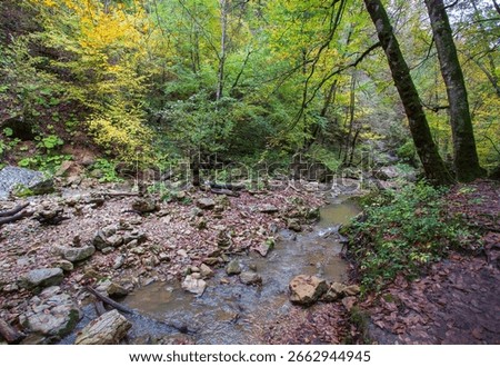 the source of the river, a walk along the riverbed with an overview of the canyon of the river and the shallow riverbed