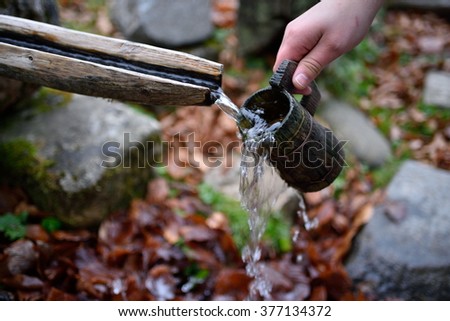 source of spring water flowing in the mountain