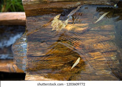 Source of spring water. Fresh cool spring water. Spring. wellspring.