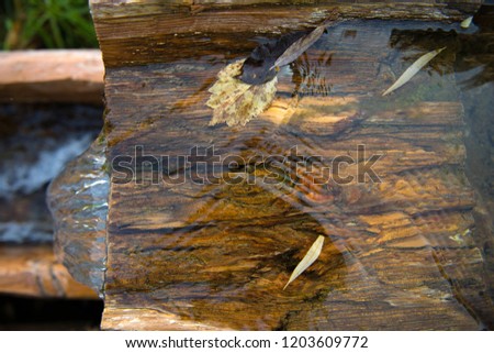 Source of spring water. Fresh cool spring water. Spring. wellspring.