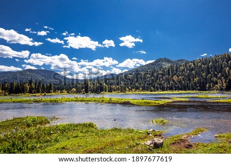 The sources of the Bii River are surrounded by mountains and taiga, near the village of Artybash and Lake Teletskoye. Turochaksky district of the Altai Republic, Russia, South of Western Siberia.