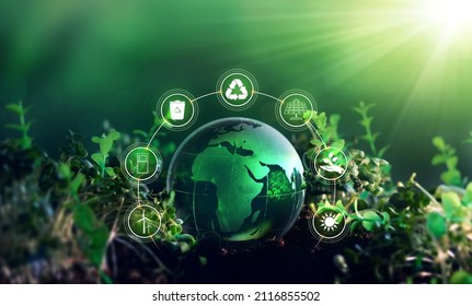 Sources For Renewable, Sustainable Development. Environment,ecology And Energy Saving Concept.Energy Resources Icons On Crystal Earth On Sunny Background.