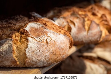 Sourdough bread close-up. Freshly baked round bread with a golden crust on bakery shelves. German baker shop context with rustic bread assortment.