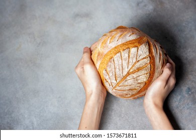 Sourdough Bread. Freshly Baked Organic Wheat Bread. Child Holding Fresh Round Bread. Selective Focus, Copy Space