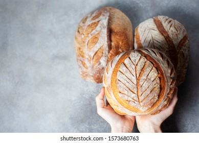 Sourdough Bread. Freshly Baked Organic Wheat Bread. Child Holding Fresh Round Bread. Selective Focus, Copy Space