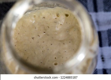 Sourdough Starter, Close Up