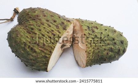 Soursop fruit with the scientific name Annona muricata isolated white background