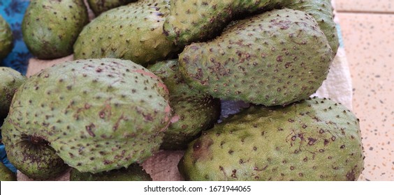 Guyabano Tree High Res Stock Images Shutterstock