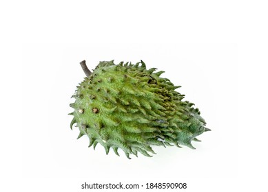 Durian belanda