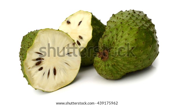 Download 8200 Gambar Durian Belanda Keren Gratis HD