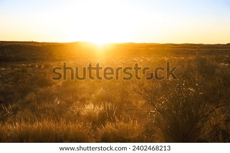 South Africa - 18 may 2019: Kgalagadi National park landscape in South Africa during sunrise.