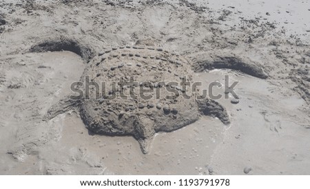 Similar – Zurück ins Wasser Strand