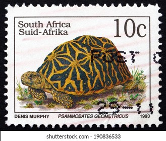 SOUTH AFRICA - CIRCA 1993: A Stamp Printed In South Africa Shows Geometric Tortoise, Psammobates Geometricus, Is An Endangered Species Of Tortoise, Circa 1993