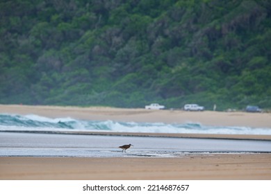 The South Africa Indian Ocean Beach