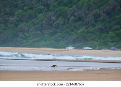 The South Africa Indian Ocean Beach