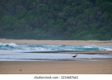 The South Africa Indian Ocean Beach