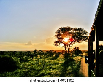 South African Safari Sunset On Game Drive