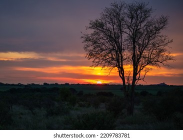 South African Sunset In The Bushveld