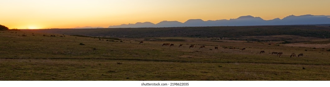 South African Sunset Over The Wild Lands